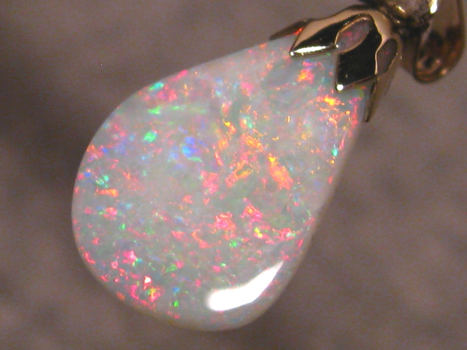 3.5 ct. Shell Opal Pendant – Solid Australian Gem Opal – 14k Yellow Gold