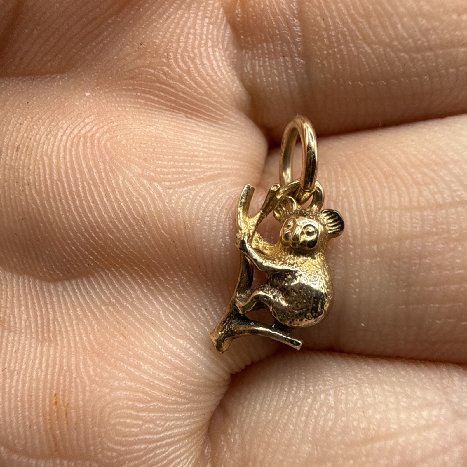 SOLID 9K 9ct YELLOW GOLD 3D KOALA on BRANCH AUSTRALIAN ANIMAL Charm/Pendant