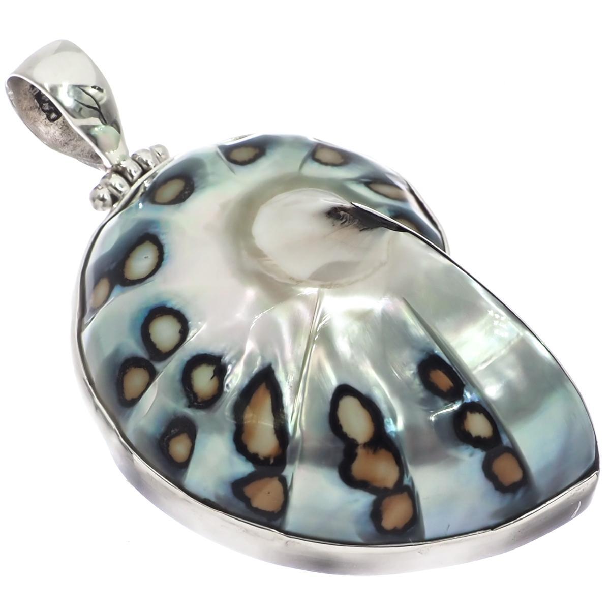 925 Sterling Silver Paisley Batik Polish Nautilus Shell In Sterling Pendant, 2″