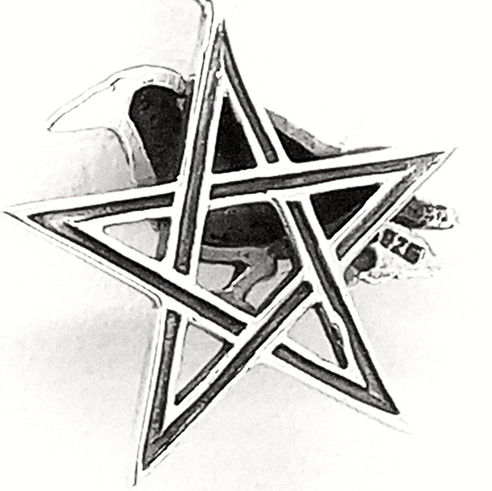 Vintage 925 Sterling Silver Garnet Pentagram Raven Necklace