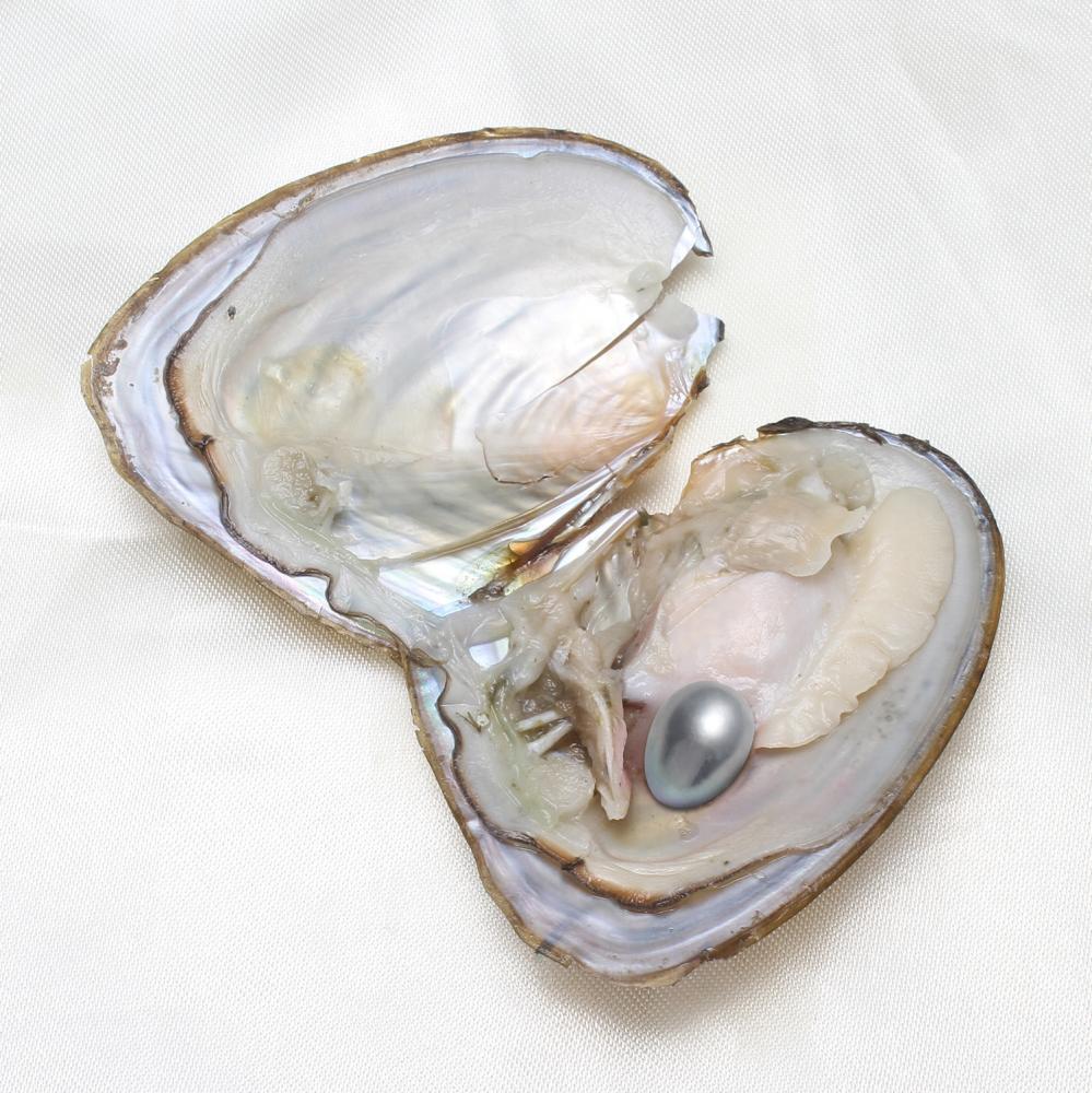 50PCS Natural Oysters 7-8mm Vacuum Pack Real Pearl Freshwater Individually Gift*