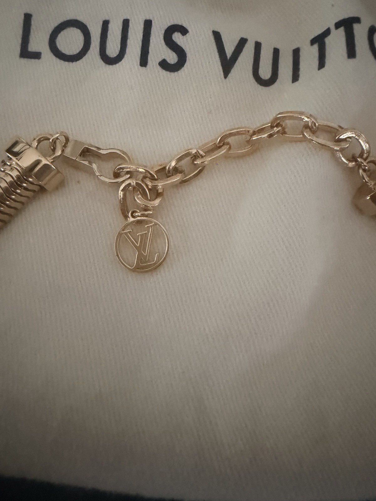 Louis Vuitton Essential Torque Collar Necklace LV V Shaped Choker Necklace