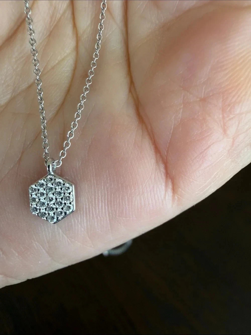 Maison Birks Bee Chic 18K White Gold 0.16ct Diamond Necklace 15-18″ w/ Box