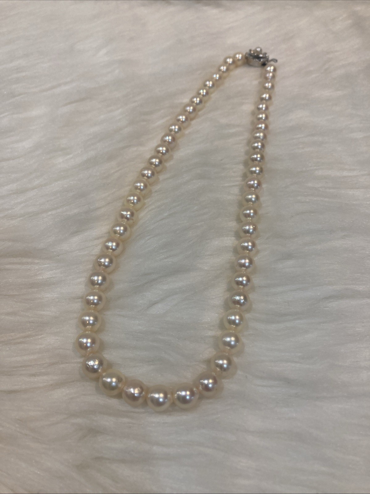 A01 Japanese Akoya Pearl Necklace 7.5-8mm 43cm Silver Clasp White Pearl
