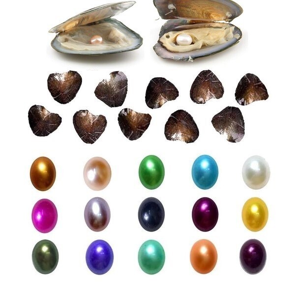 50PACK Oysters Breeding Real Pearl Freshwater Pearl For Mom 7-8mm Vacuum