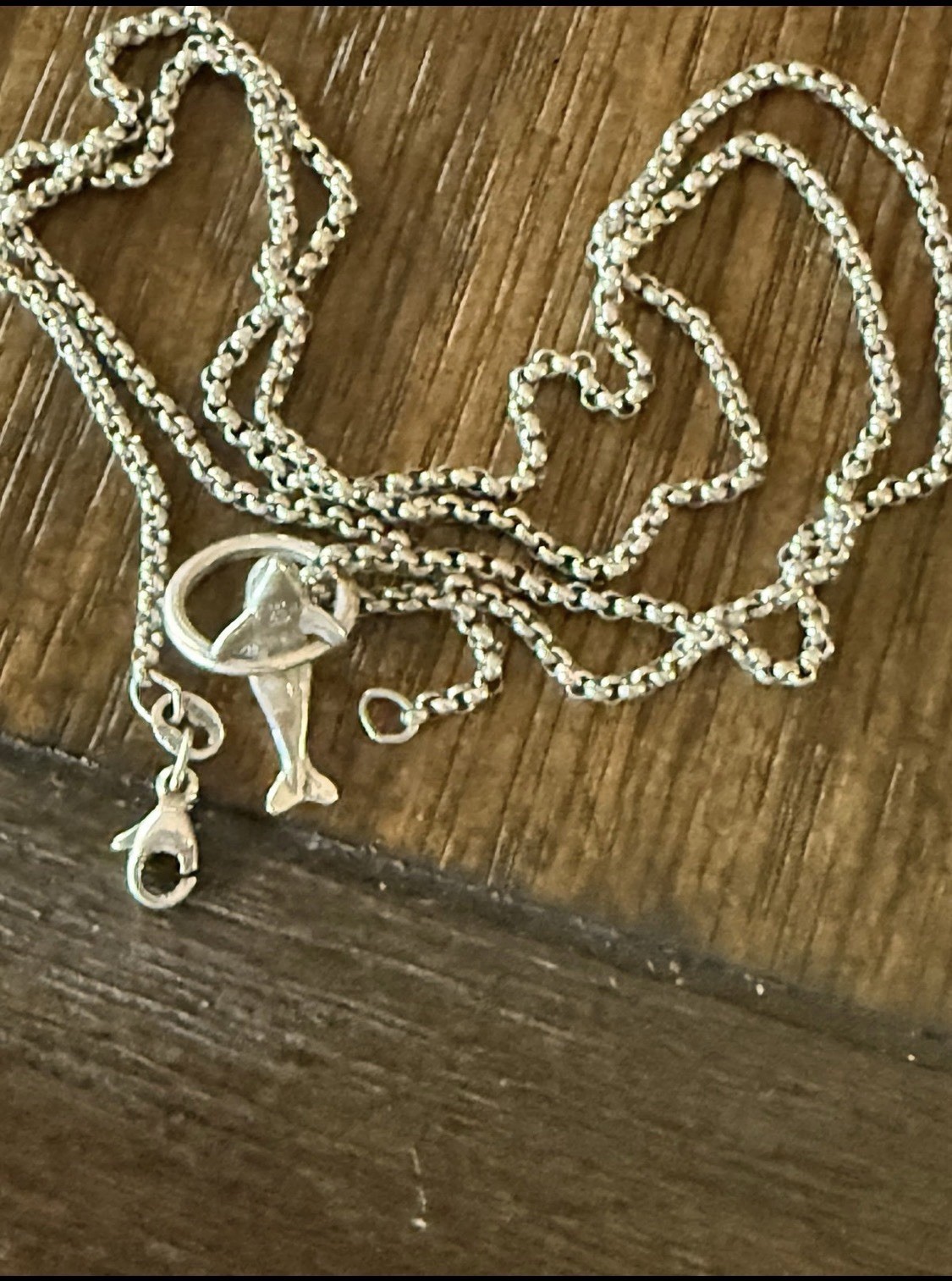 James Avery playful Dolphin charm Vintage Retired & JA chain 20”