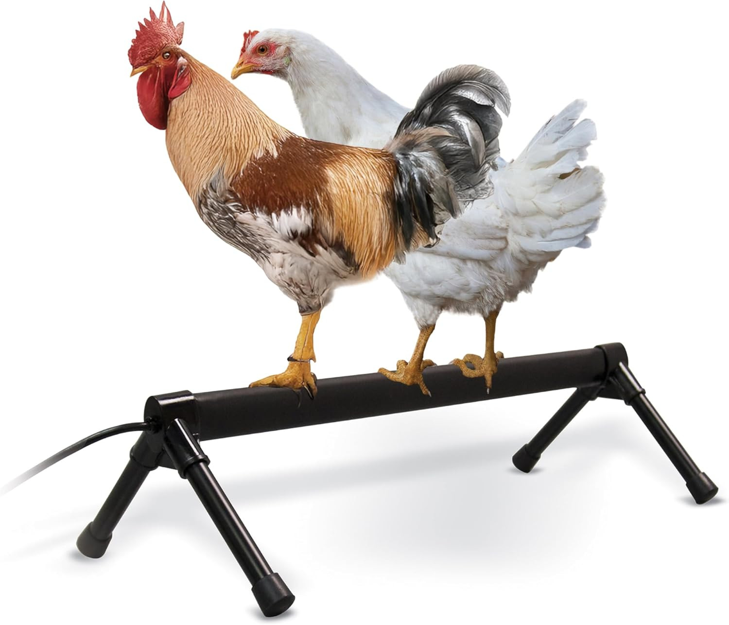 Thermo Heated Chicken Perch for Coop, Warming Chicken Heater, Prevents Frozen To