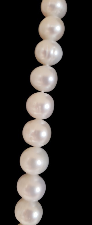 Belle De Mer 36in Cultured Pearl Opaque Endless Strand & Pearl Drop Earrings 