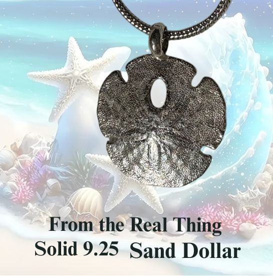 Sand Dollar 925 pendant cast from the real thing Natural Art Original by JKL 50