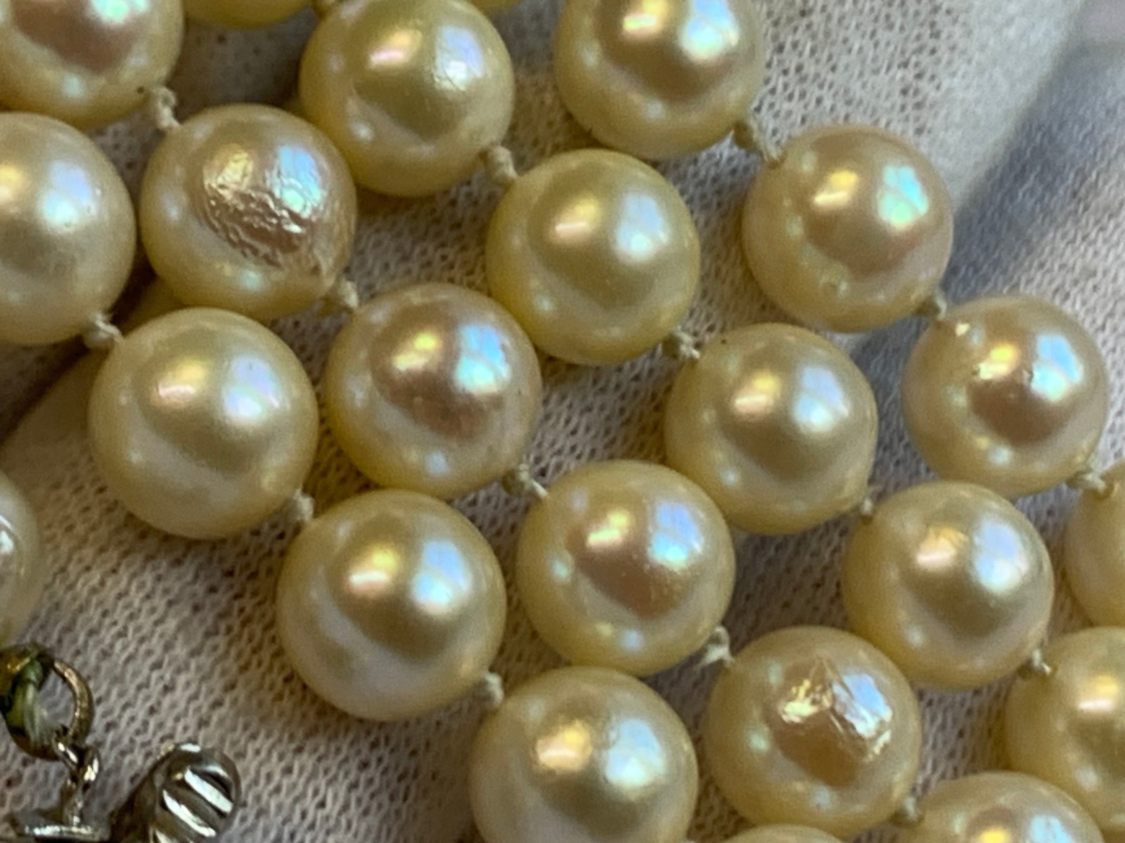 14K White Gold Honora Pearl & Diamond Necklace 32″ Fine Jewelry Box Clasp *READ*