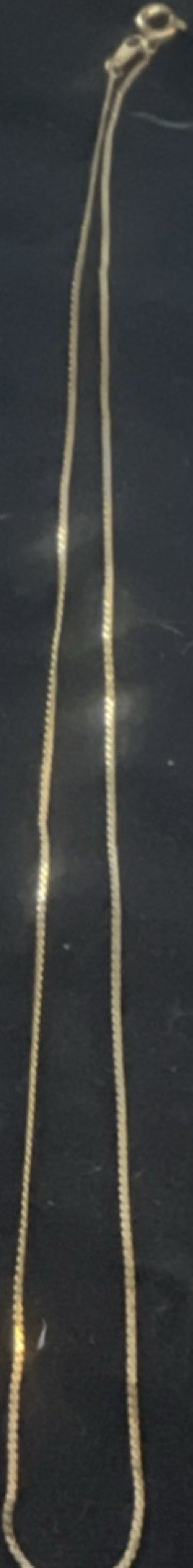 Gold Box Chain Necklace Yellow Gold Metal No Stone Spring Ring Closure