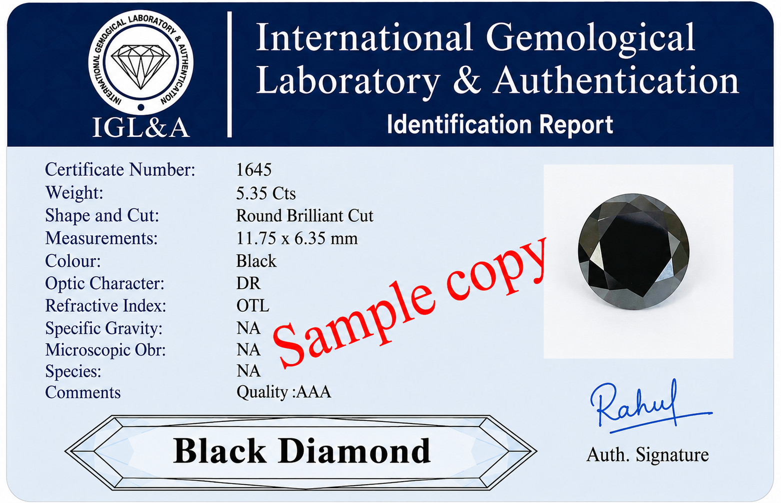 Black Diamond Necklace 28 Inch 2mm Round Faceted Carbonado Quality AAA Certified