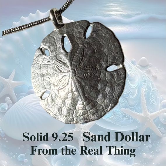Sand Dollar 925 pendant cast from the real thing Natural Art Original by JKL 48