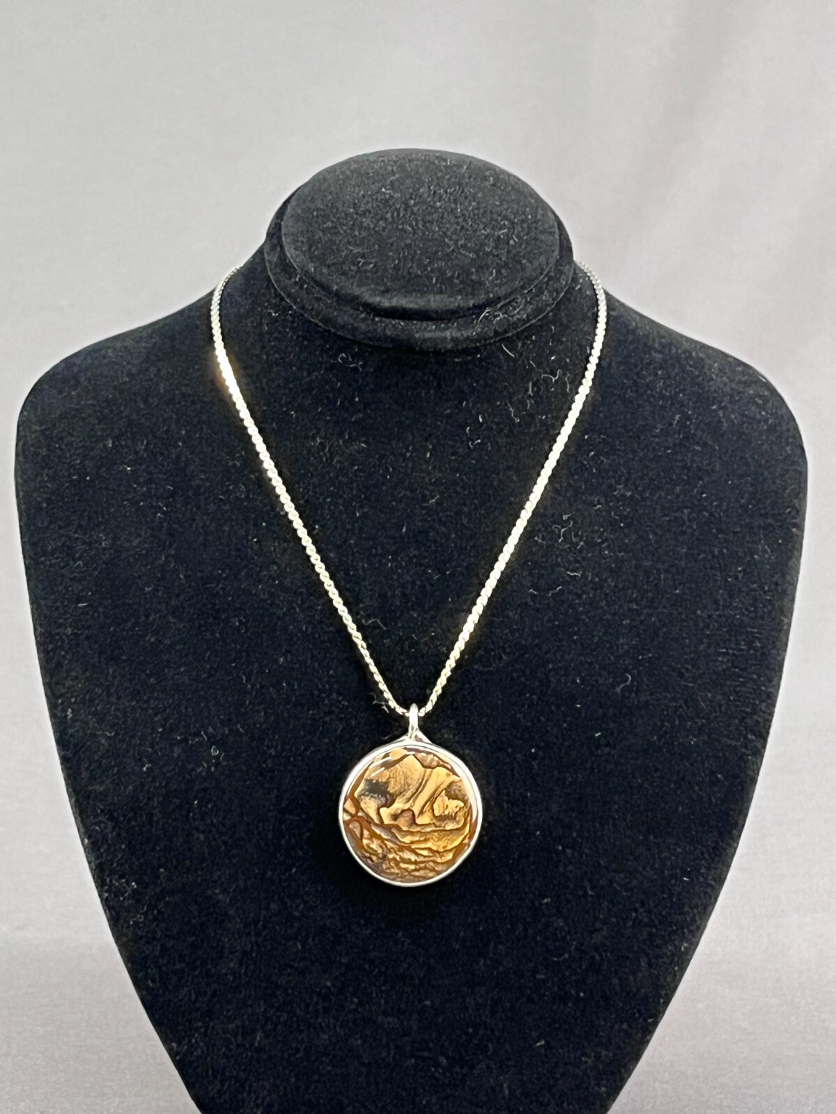 Biggs Picture Jasper Sterling Silver Pendant 18″ Necklace (J)