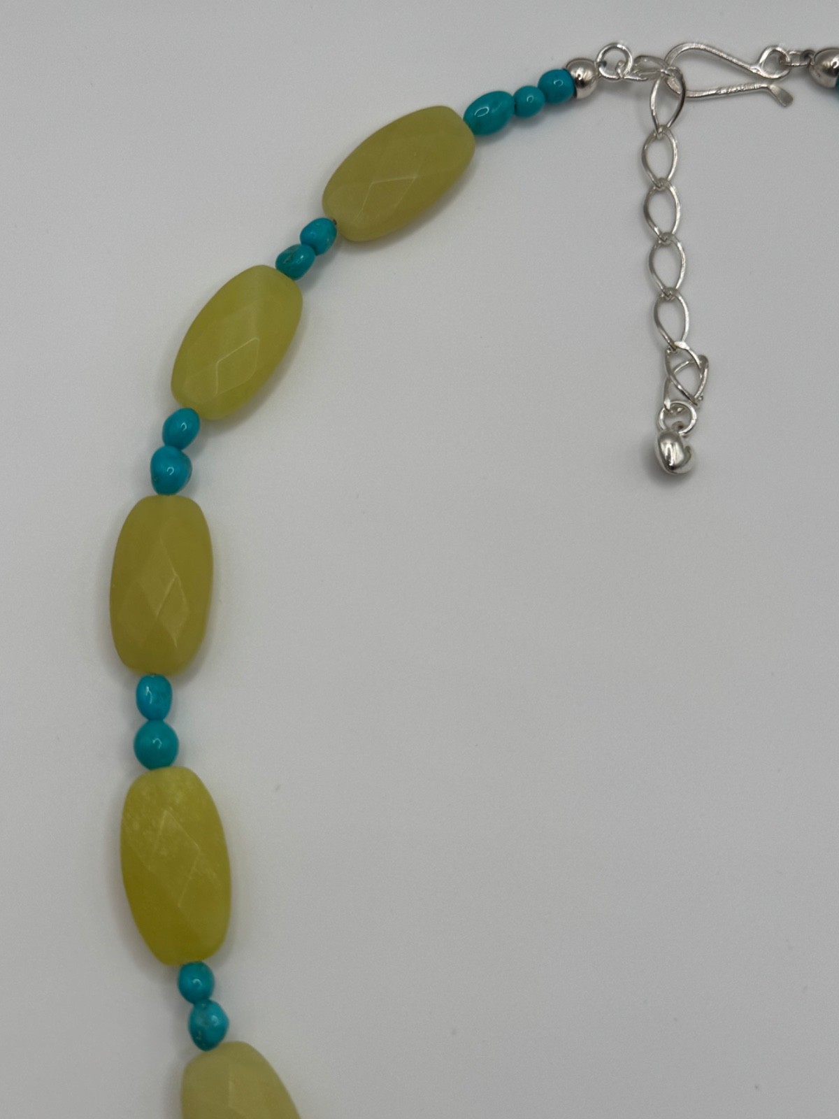 Jay King DTR Mine Finds Serpentine Turquoise Sterling Silver Clasp Necklace