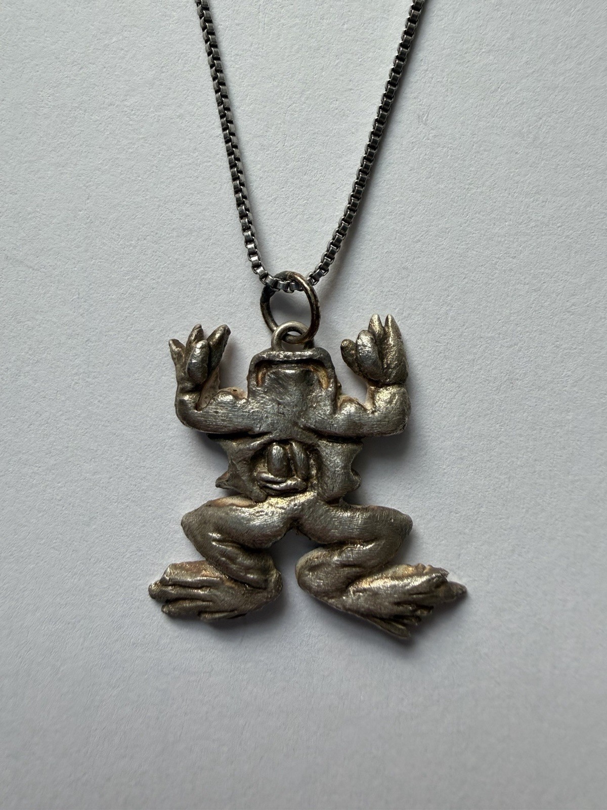 Handmade Sculpted Art Clay Silver Dissected Frog Specimen Pendant Charm