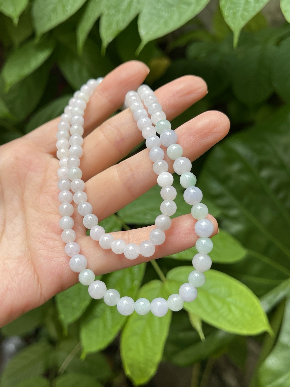 Natural Grade A Burmese Multi-Color Jadeite Bead Necklace Wrap Bracelet 6mm-7mm