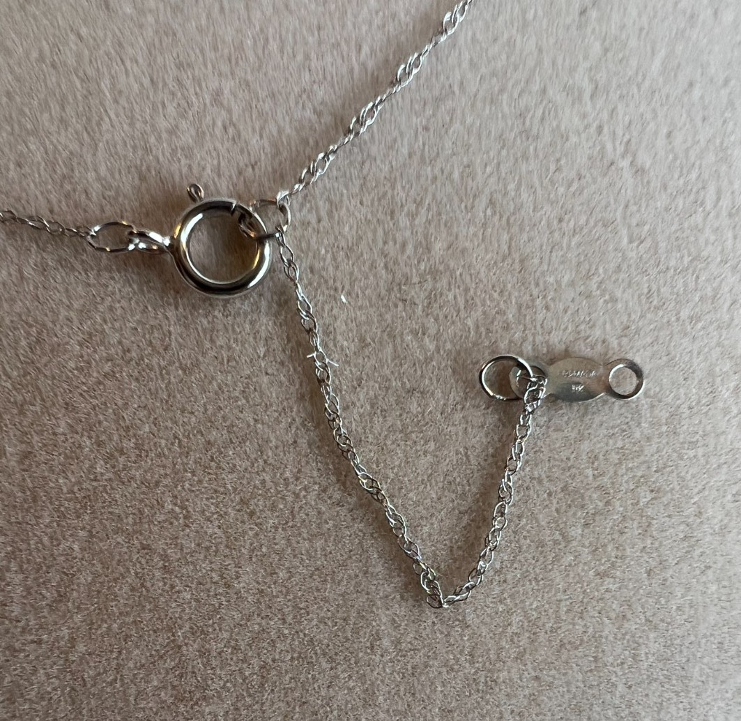 14k white gold 0.20ctw round white diamond horseshoe necklace NEW