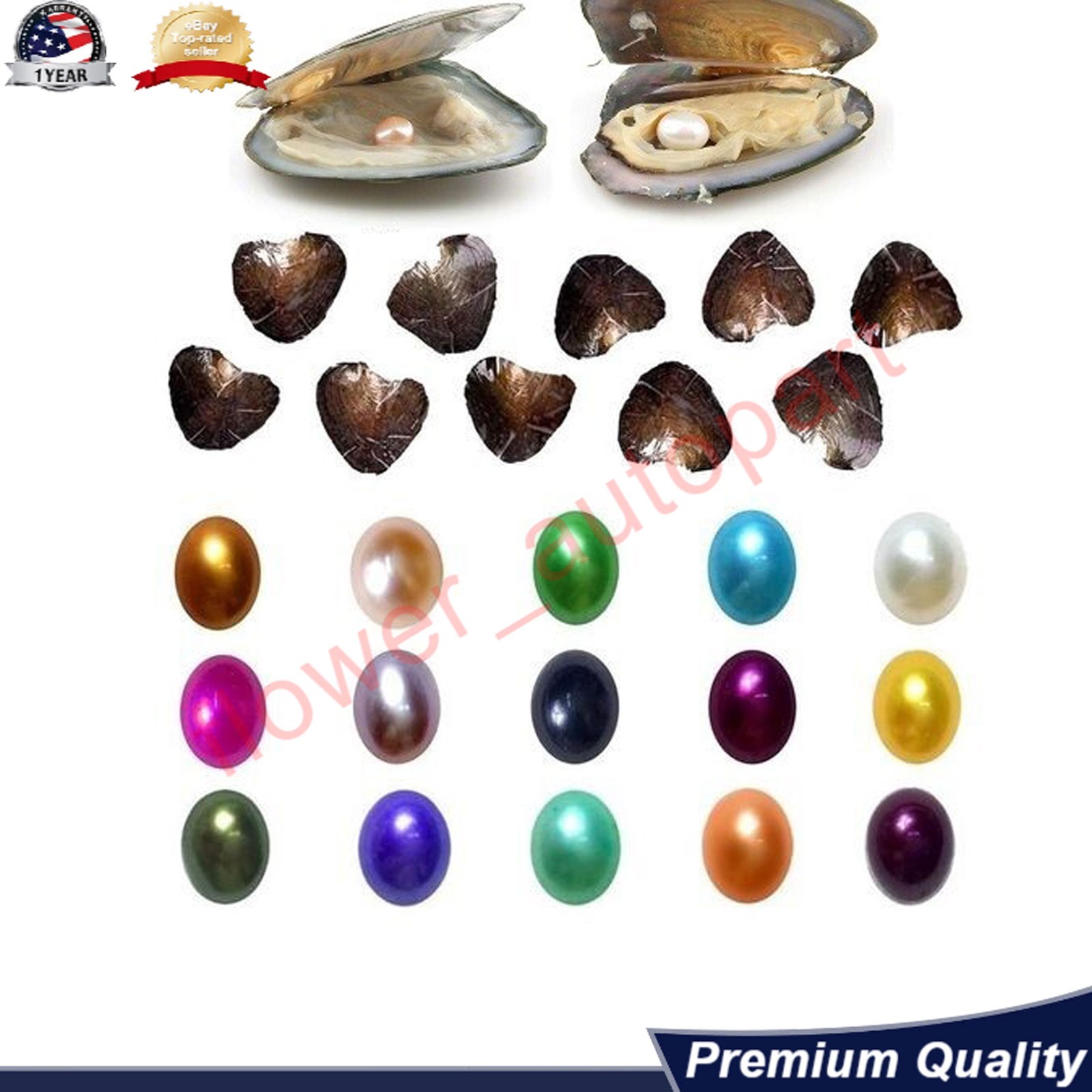 50PACK Oysters Breeding Real Pearl Freshwater Pearl For Mom 7-8mm Vacuum