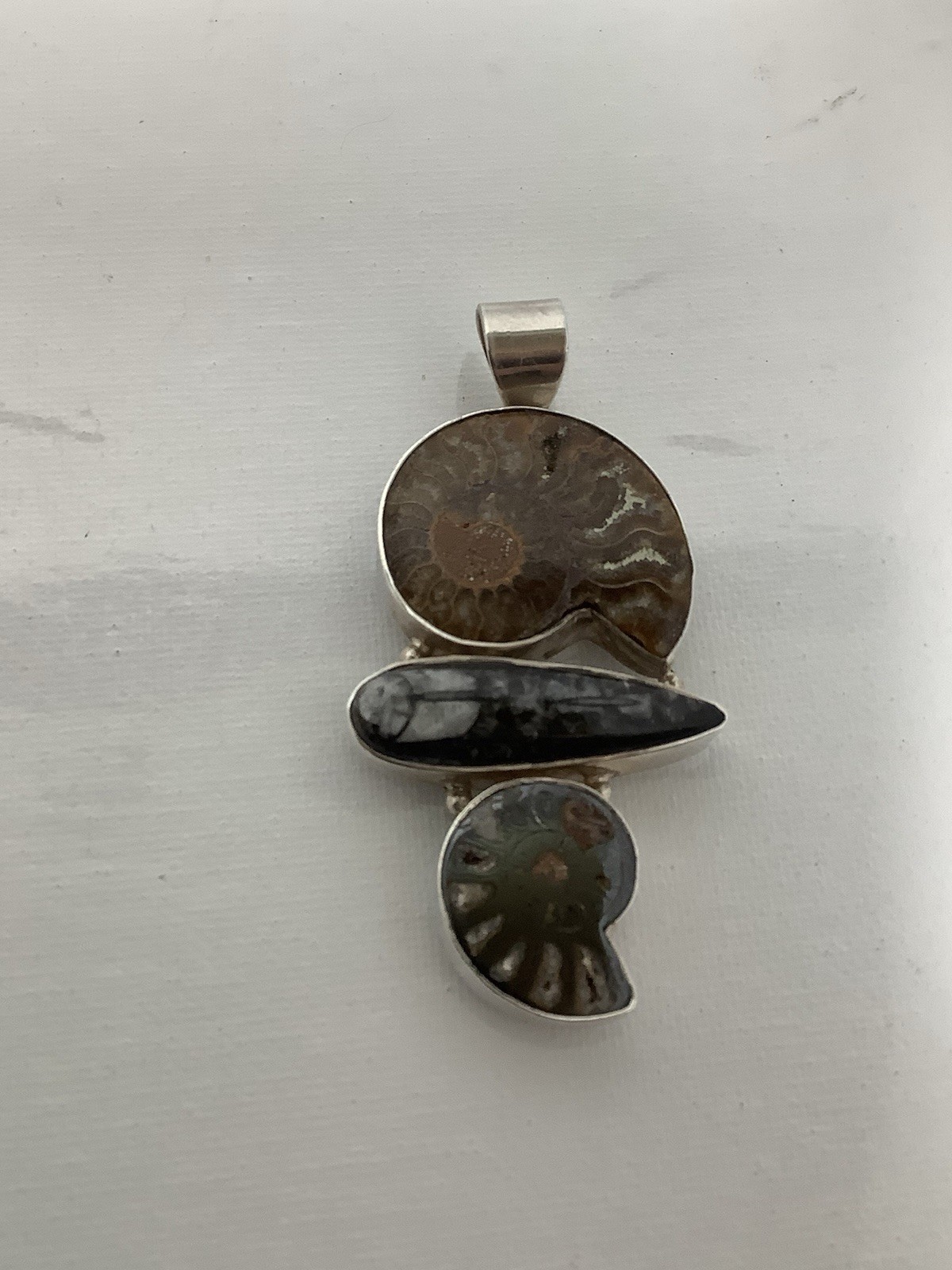 Sj 925 Sterling Multiple Ammonite Brown Fossil Stone Pendant