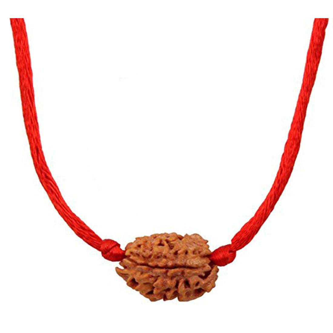 Rudraksha Pendant 3 Mukhi/Three Faced Oval Red Thread