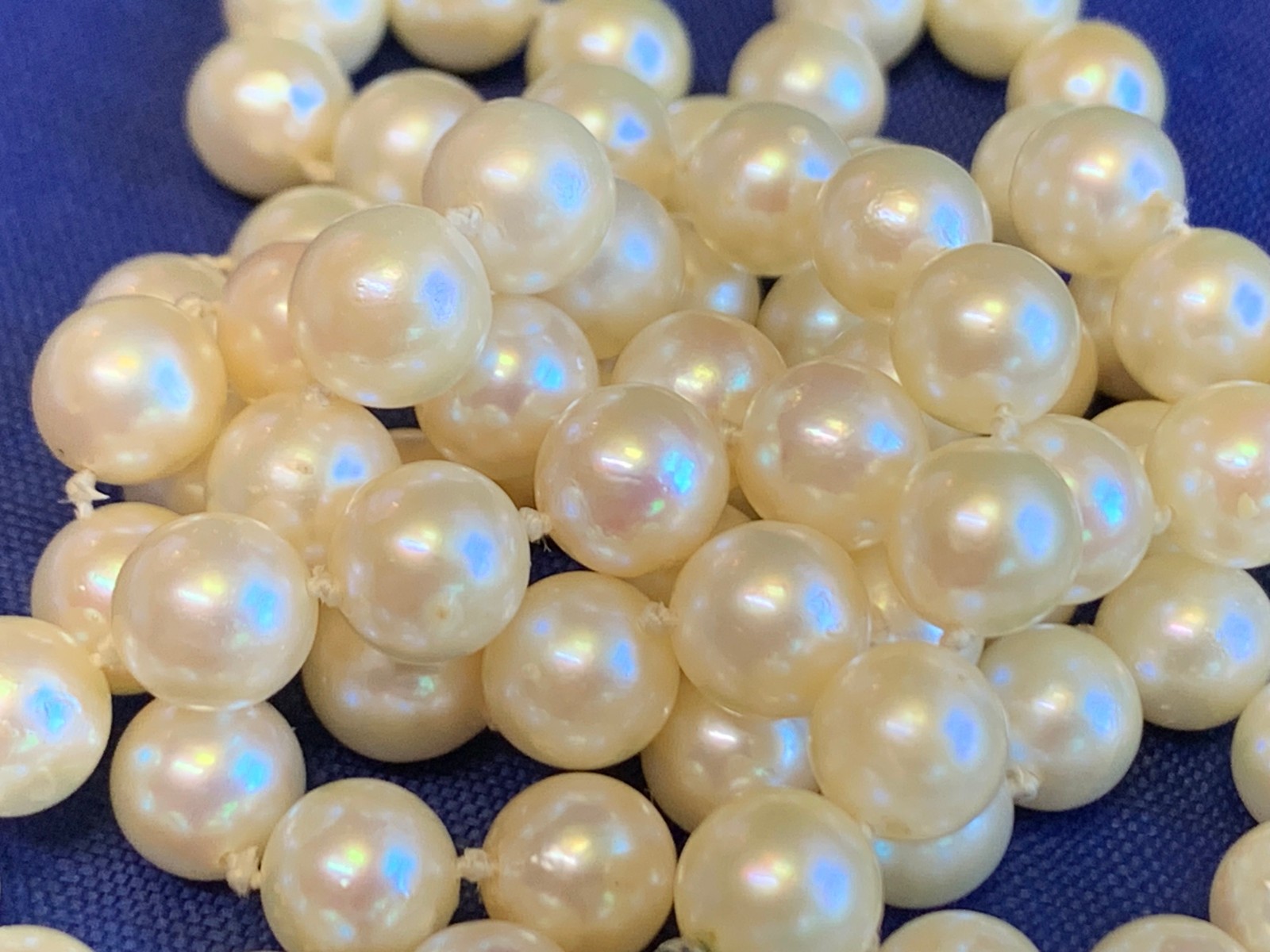 14K White Gold Honora Pearl & Diamond Necklace 32″ Fine Jewelry Box Clasp *READ*