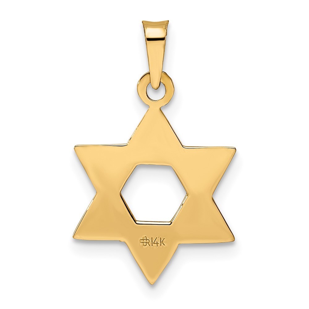 14k Rose Gold Polished Solid Star of David Pendant 0.99g L-21.5mm, W-15.65mm