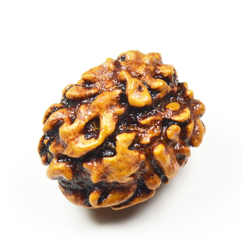 Rudraksha Pendant 3 Mukhi/Three Faced Oval Red Thread
