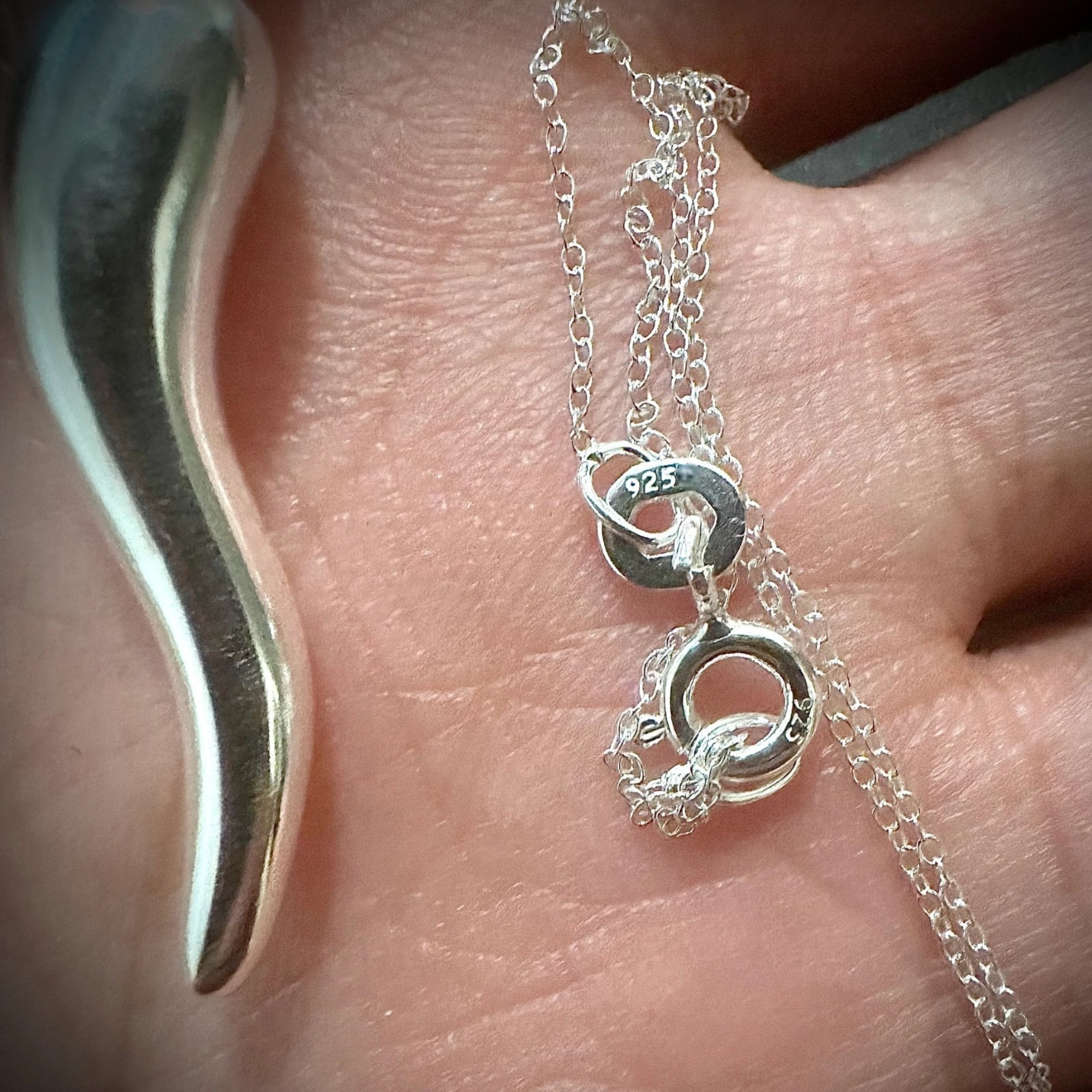 Italian Horn Necklace 925 Sterling Silver 18in Cornicello Pendant Chain