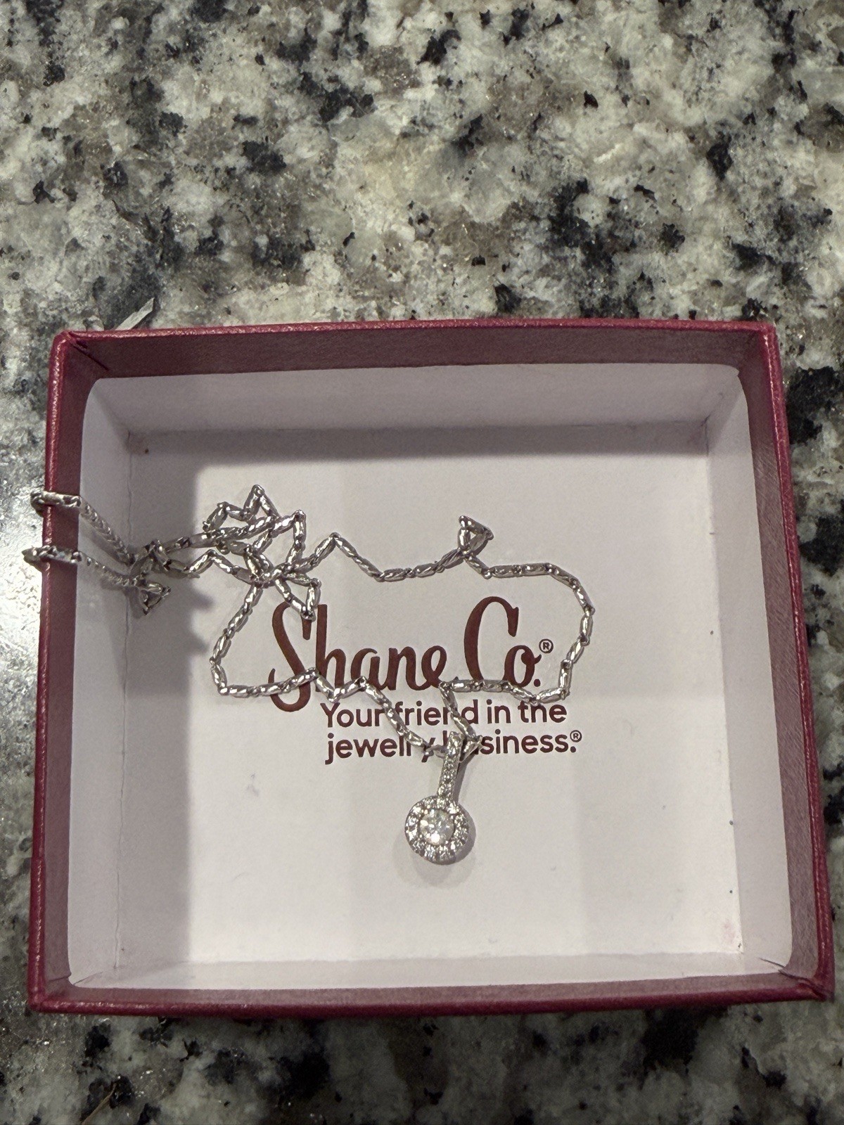 Shane Co. 14K White Gold Round Halo Diamond Pendant Rope Chain 0.55 CTW
