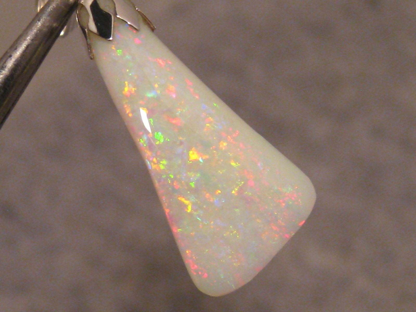 3.7 ct. Shell Opal Pendant – Solid Australian Gem Opal – Sterling Silver