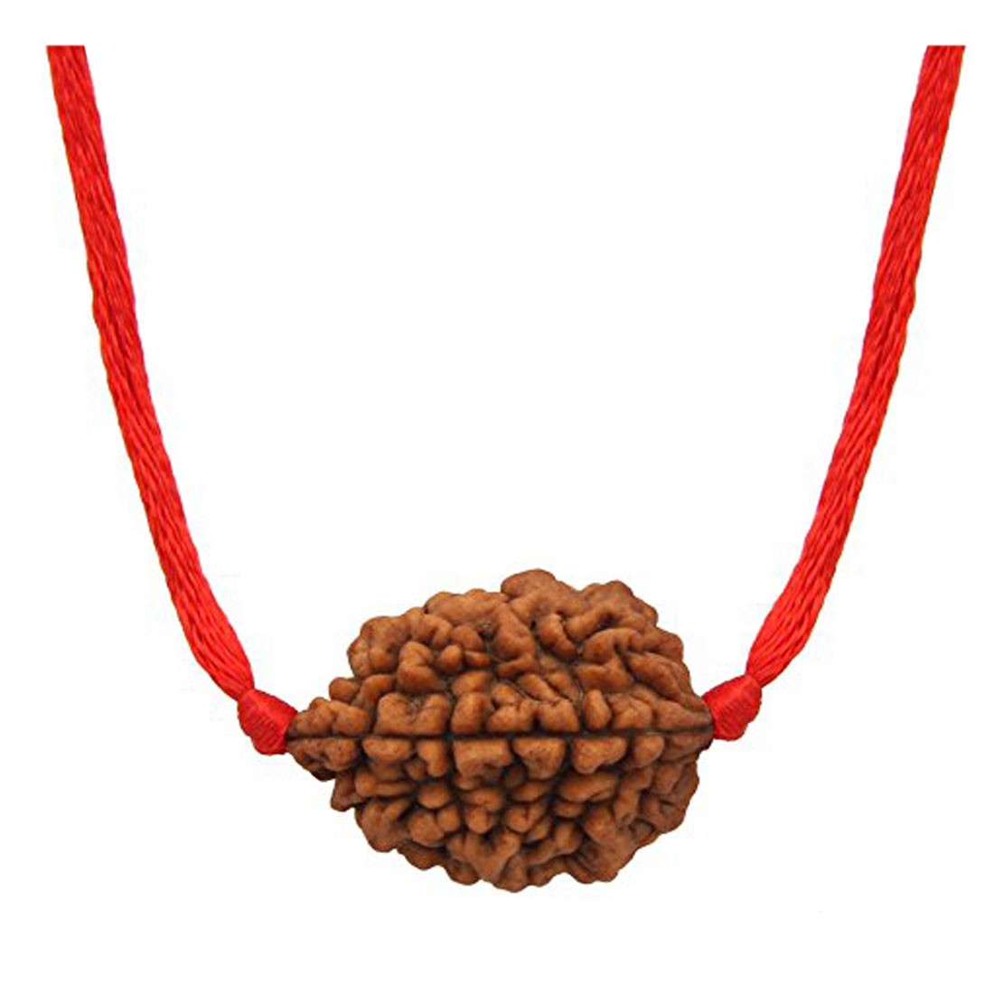 Rudraksha Pendant 2 Mukhi/Two Faced Oval Red Thread For Man