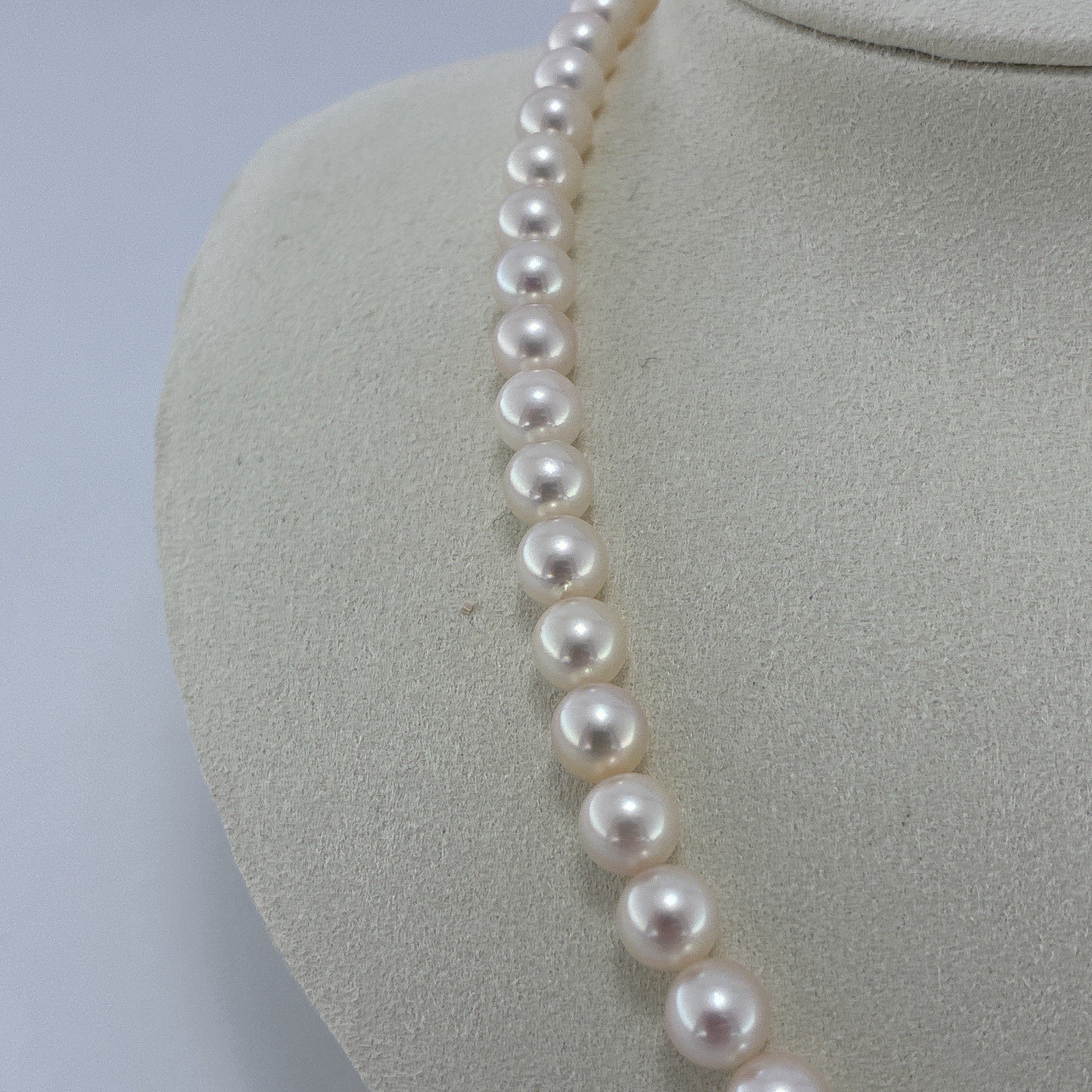 Hanadama 7.5-8mm Pearl Japanese Akoya White-Rose Necklace Silver 16.93″