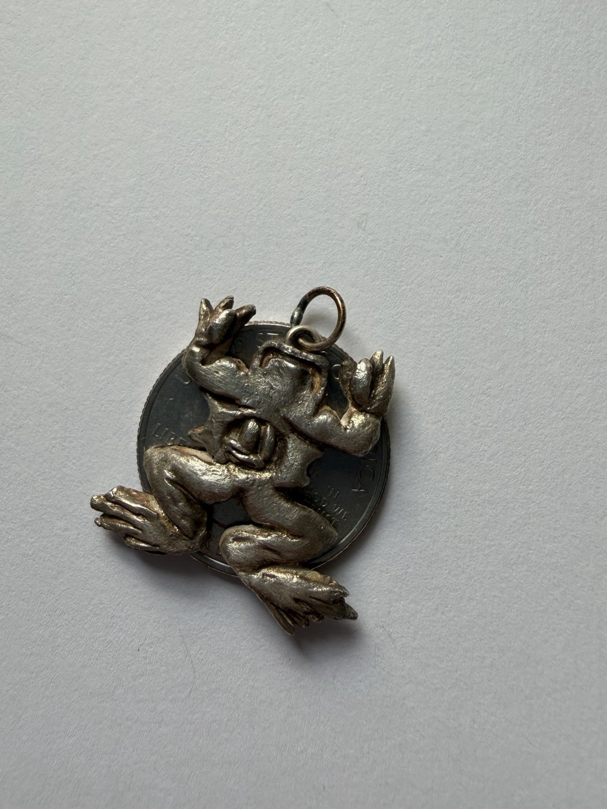 Handmade Sculpted Art Clay Silver Dissected Frog Specimen Pendant Charm
