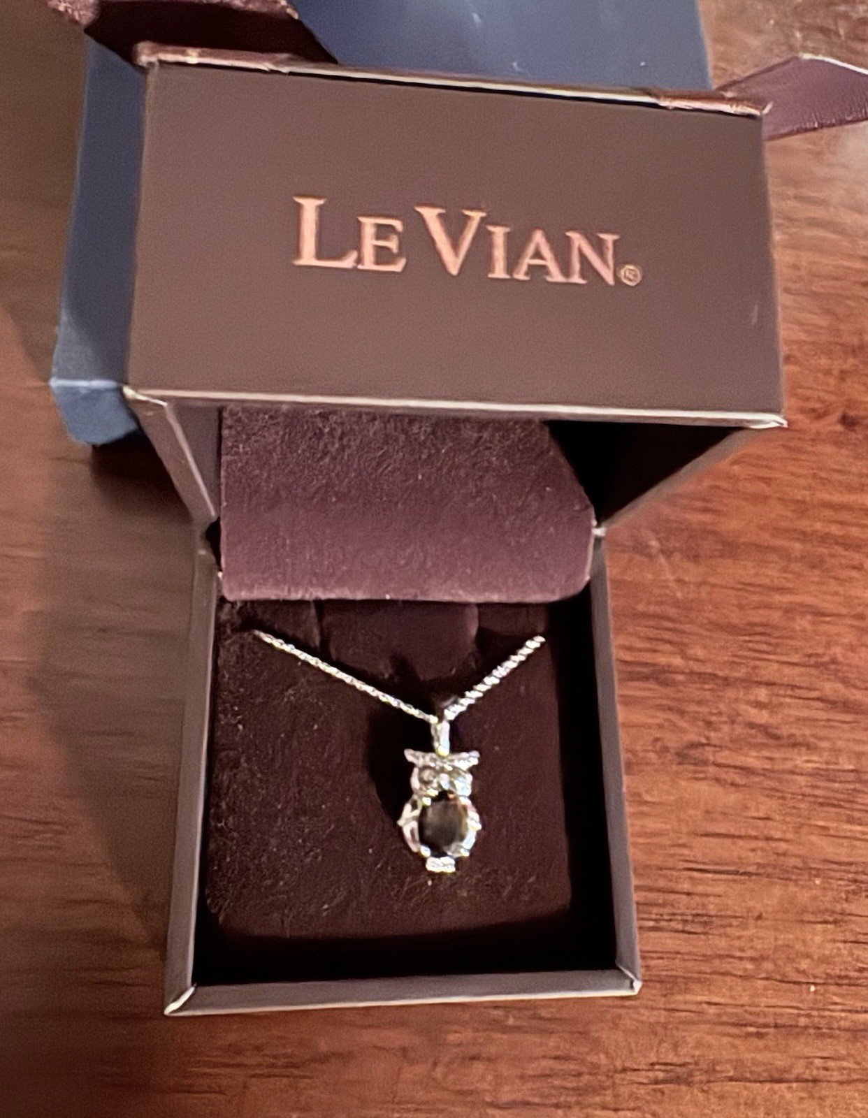 Le Vian 14K White Gold Owl Pendant Necklace Chocolate Quartz & Diamonds 18″