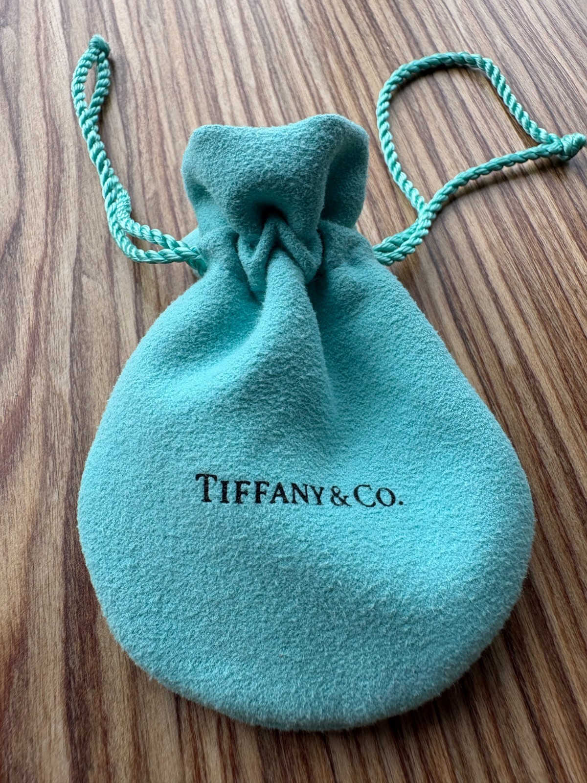 Tiffany & Co. Notes Collection Round Disc Pendant/Charm