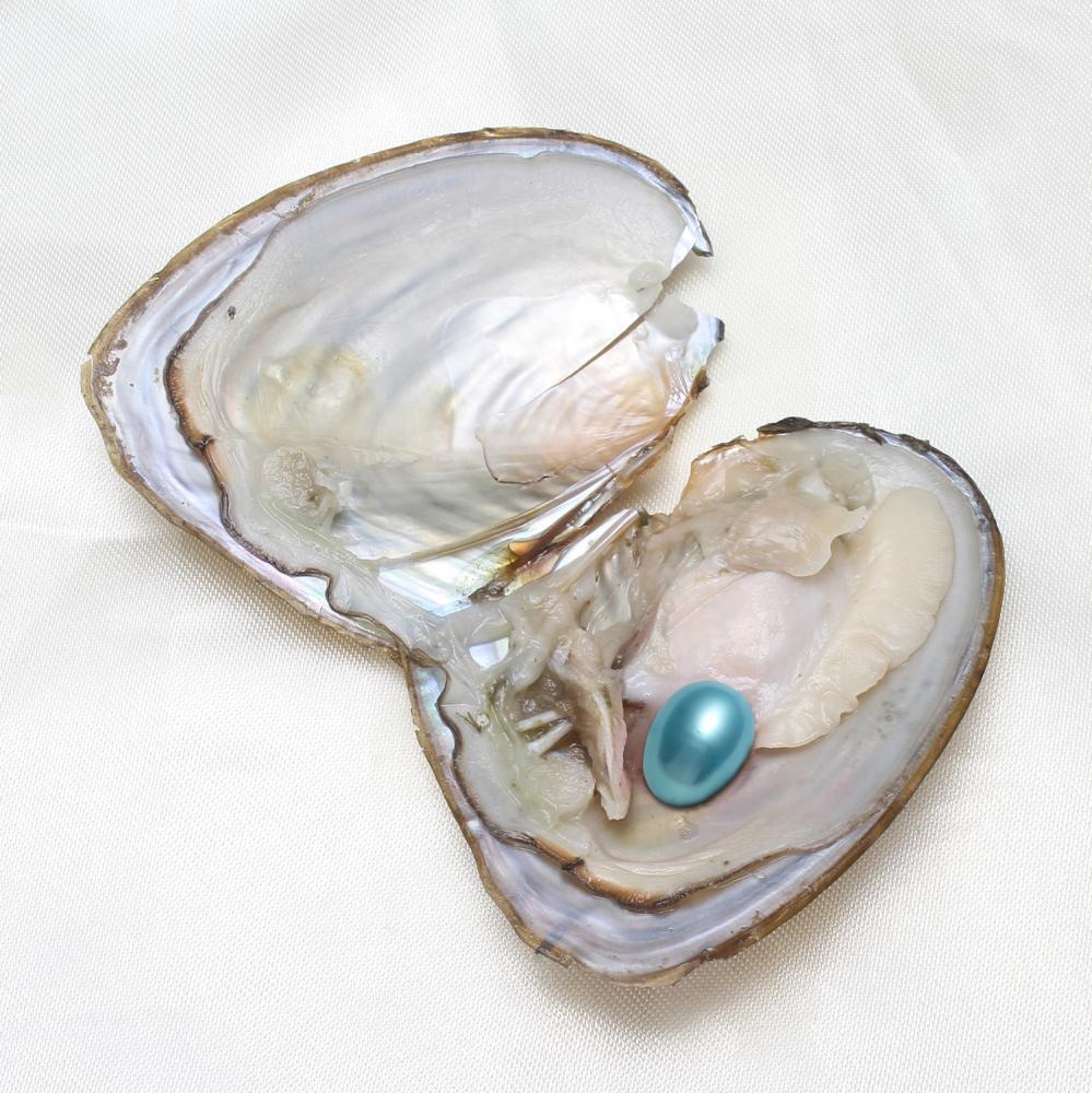 50PCS Natural Oysters 7-8mm Vacuum Pack Real Pearl Freshwater Individually Gift*