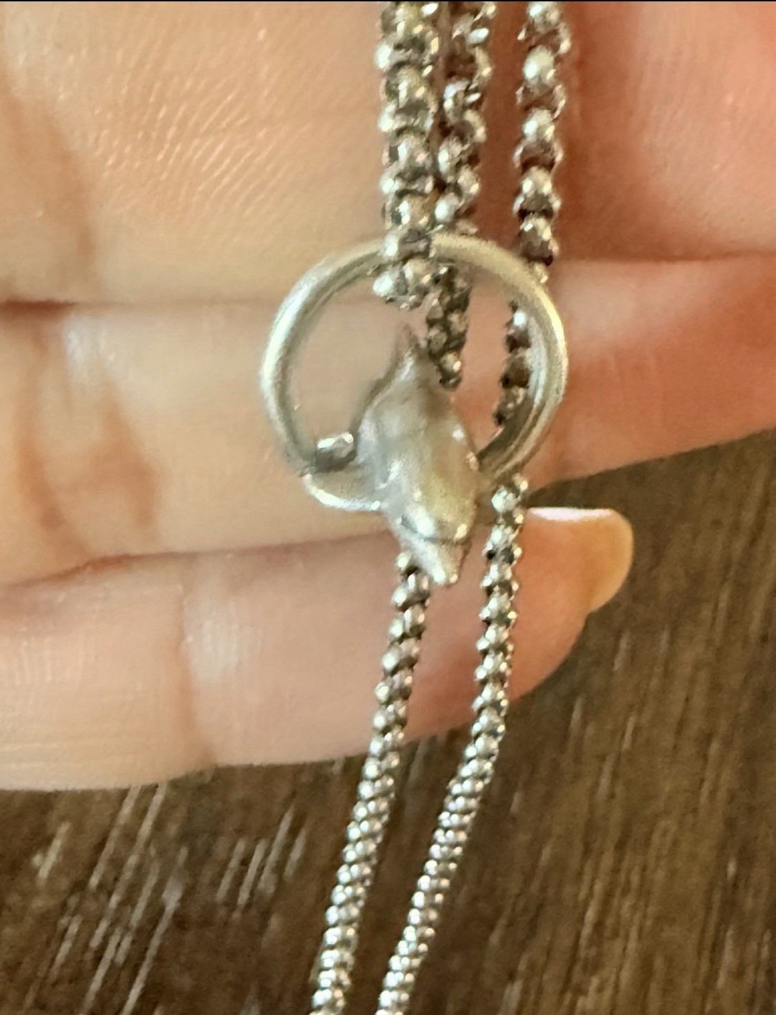 James Avery playful Dolphin charm Vintage Retired & JA chain 20”