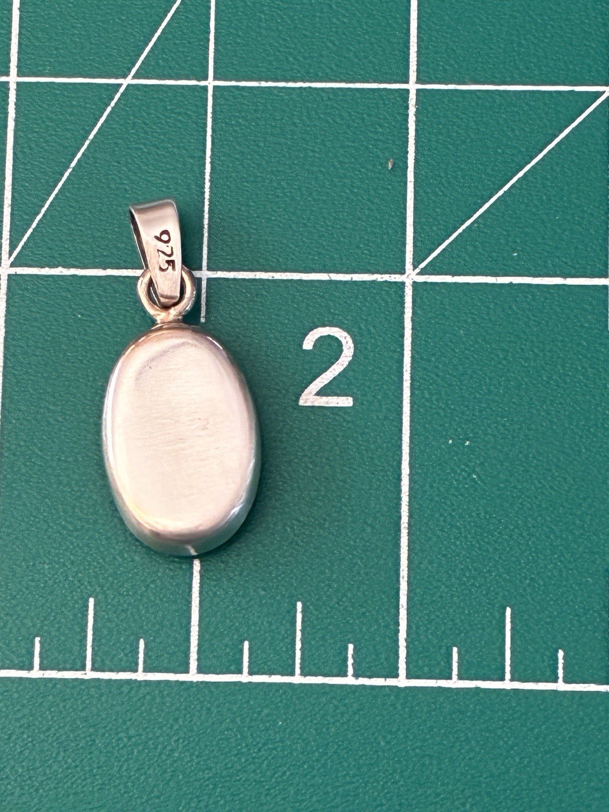 Sterling Silver Resin encased Dried Flower Pendant