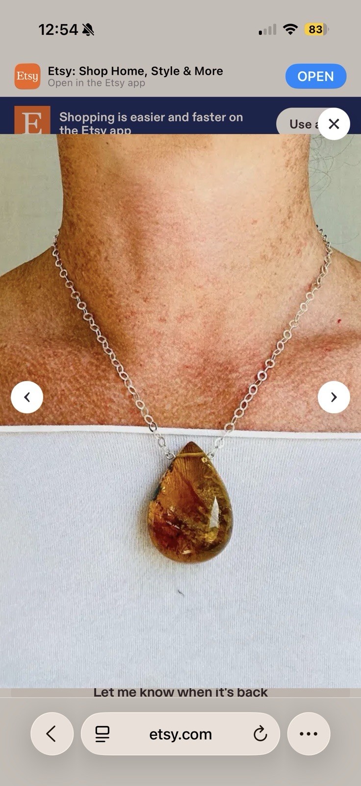 Large Natural Amber Pendant Sterling Silver Necklace Jewelry Women’s