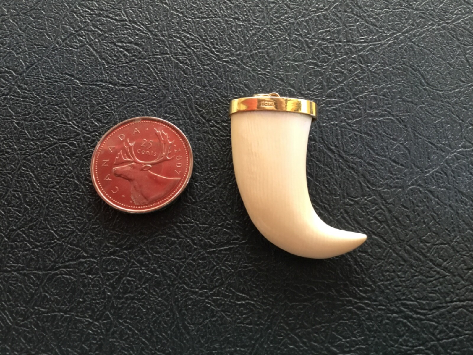 10K SOLID YELLOW GOLD WHITE CLAW PENDANT 5.2 GRAMS 1.25’’ VERY GOOD CONDITION