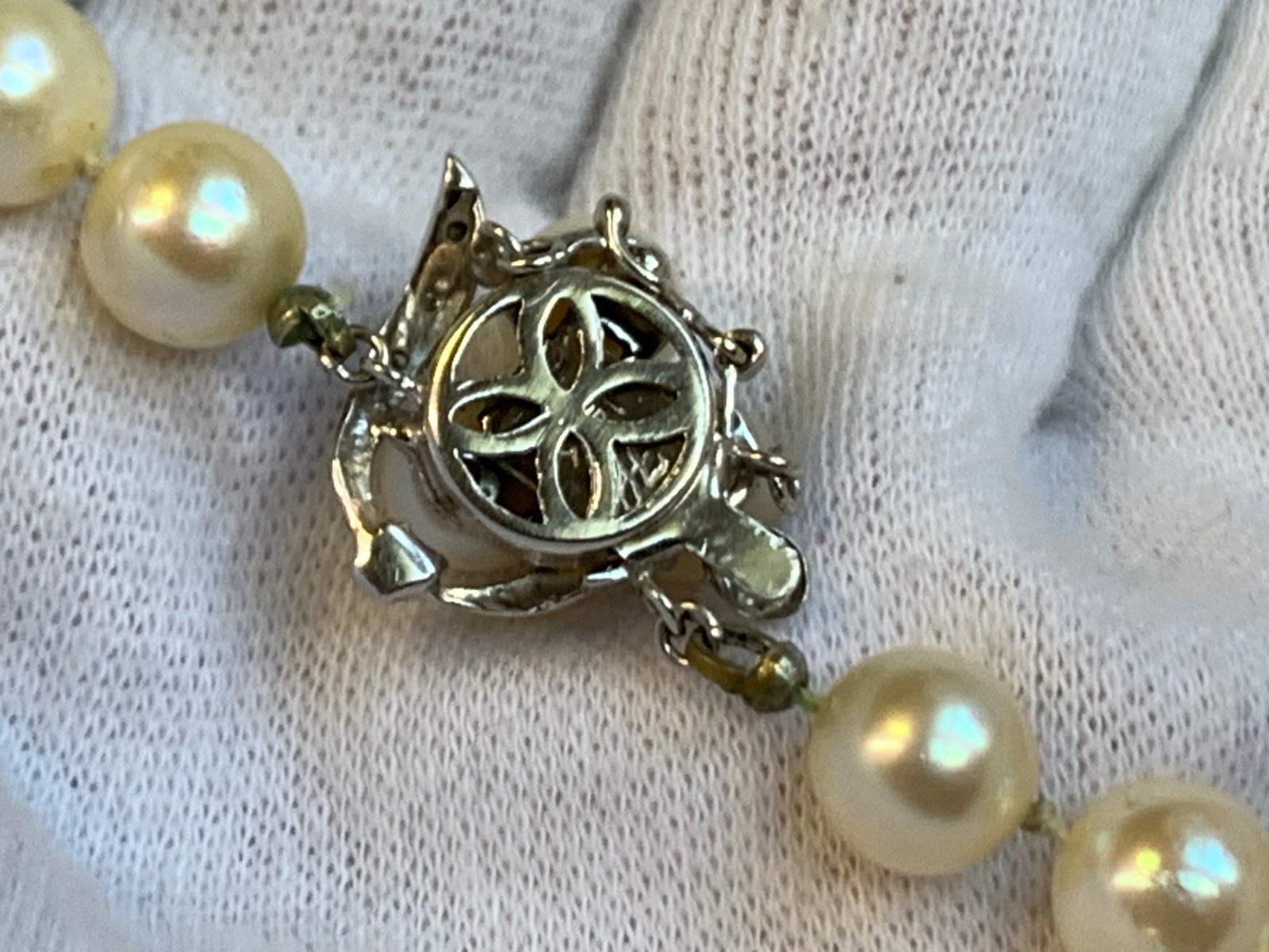 14K White Gold Honora Pearl & Diamond Necklace 32″ Fine Jewelry Box Clasp *READ*