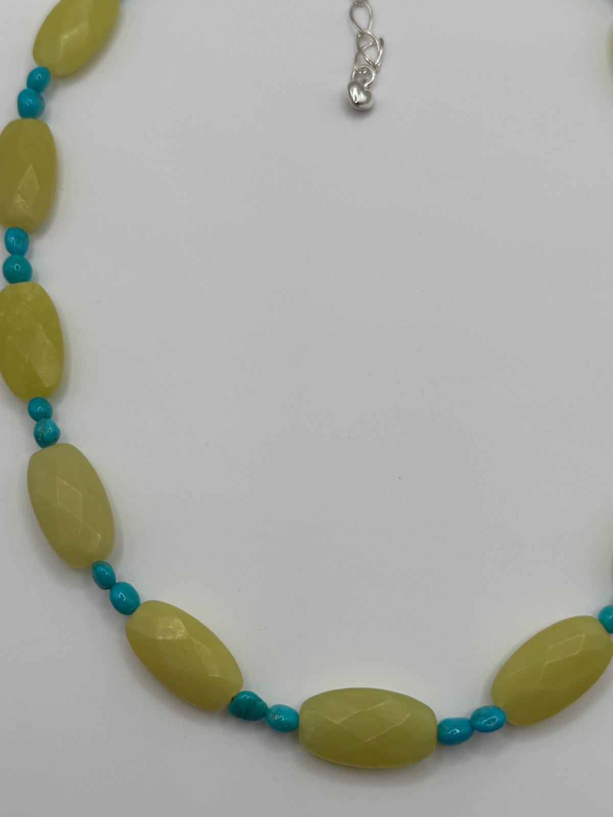 Jay King DTR Mine Finds Serpentine Turquoise Sterling Silver Clasp Necklace