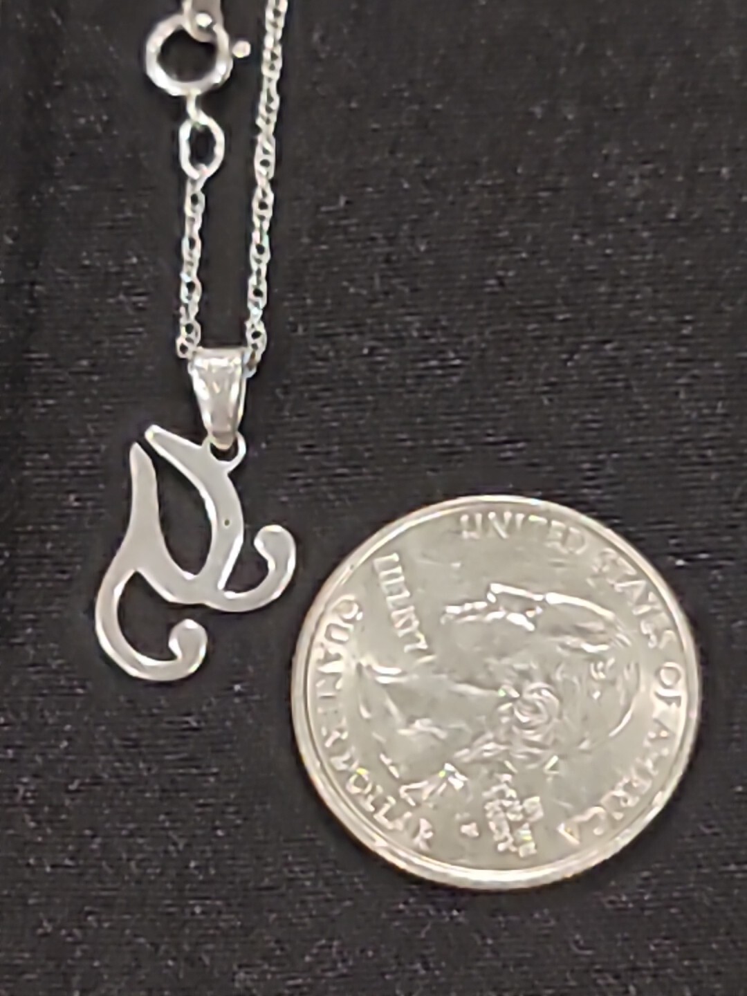 Necklace Real Diamond Chip 925 Sterling Silver Unknown NVC Symbol on 18″ Chain