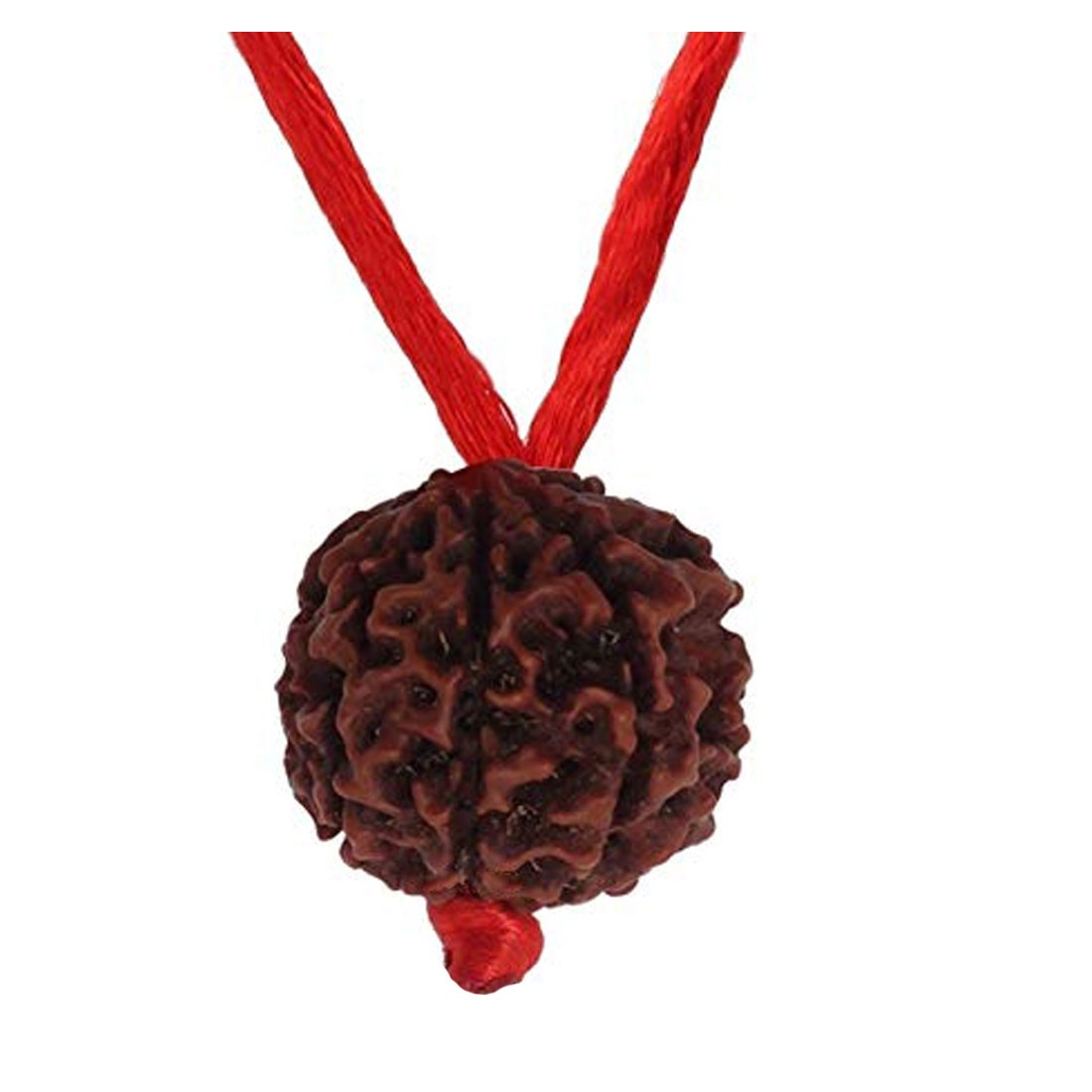 Rudraksha Pendant 9 Mukhi/Nine Faced Round Red Thread Beads