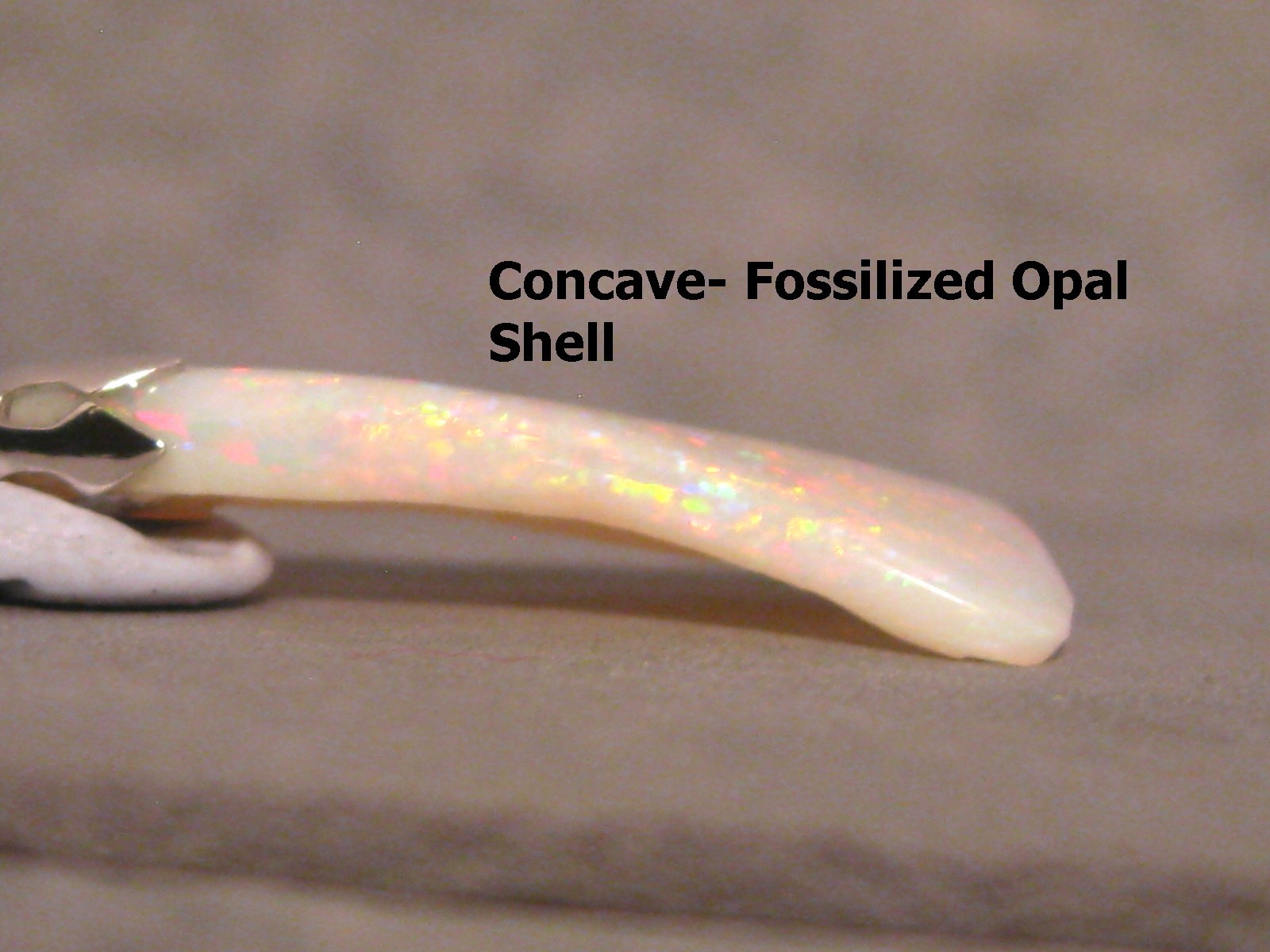 3.7 ct. Shell Opal Pendant – Solid Australian Gem Opal – Sterling Silver