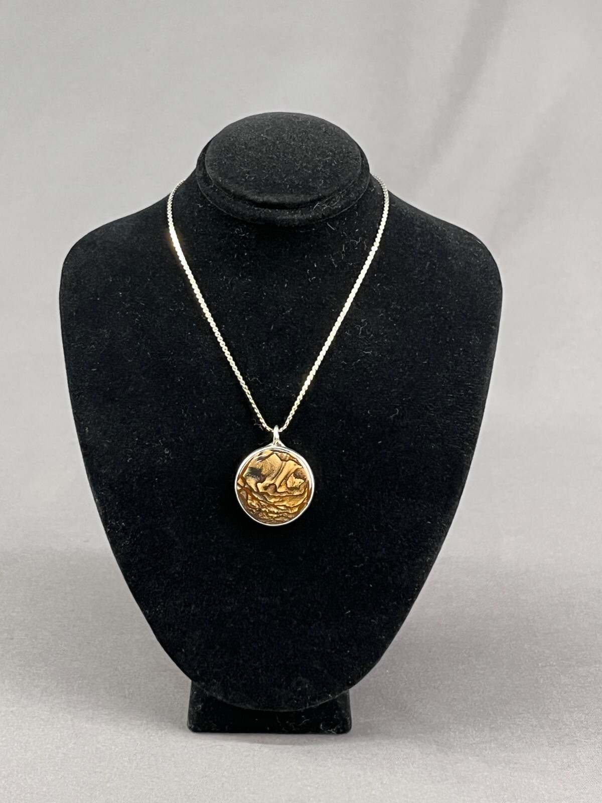 Biggs Picture Jasper Sterling Silver Pendant 18″ Necklace (J)