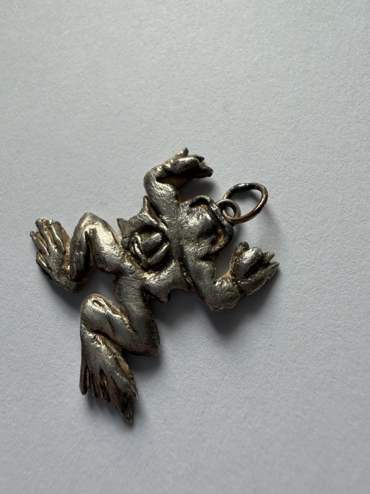 Handmade Sculpted Art Clay Silver Dissected Frog Specimen Pendant Charm