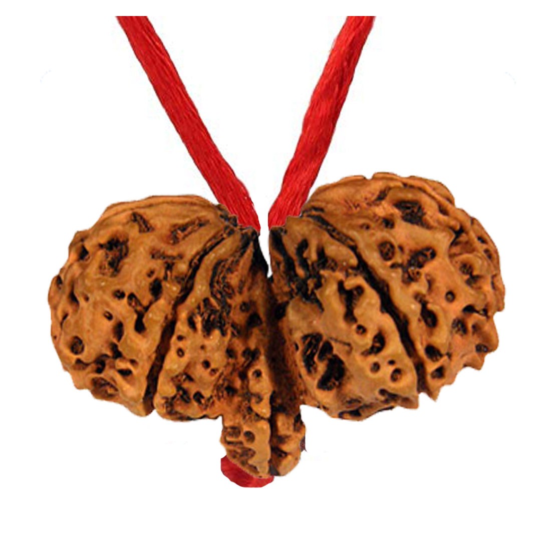 Gauri Shankar Rudraksha Pendant Round Red Thread For Woman