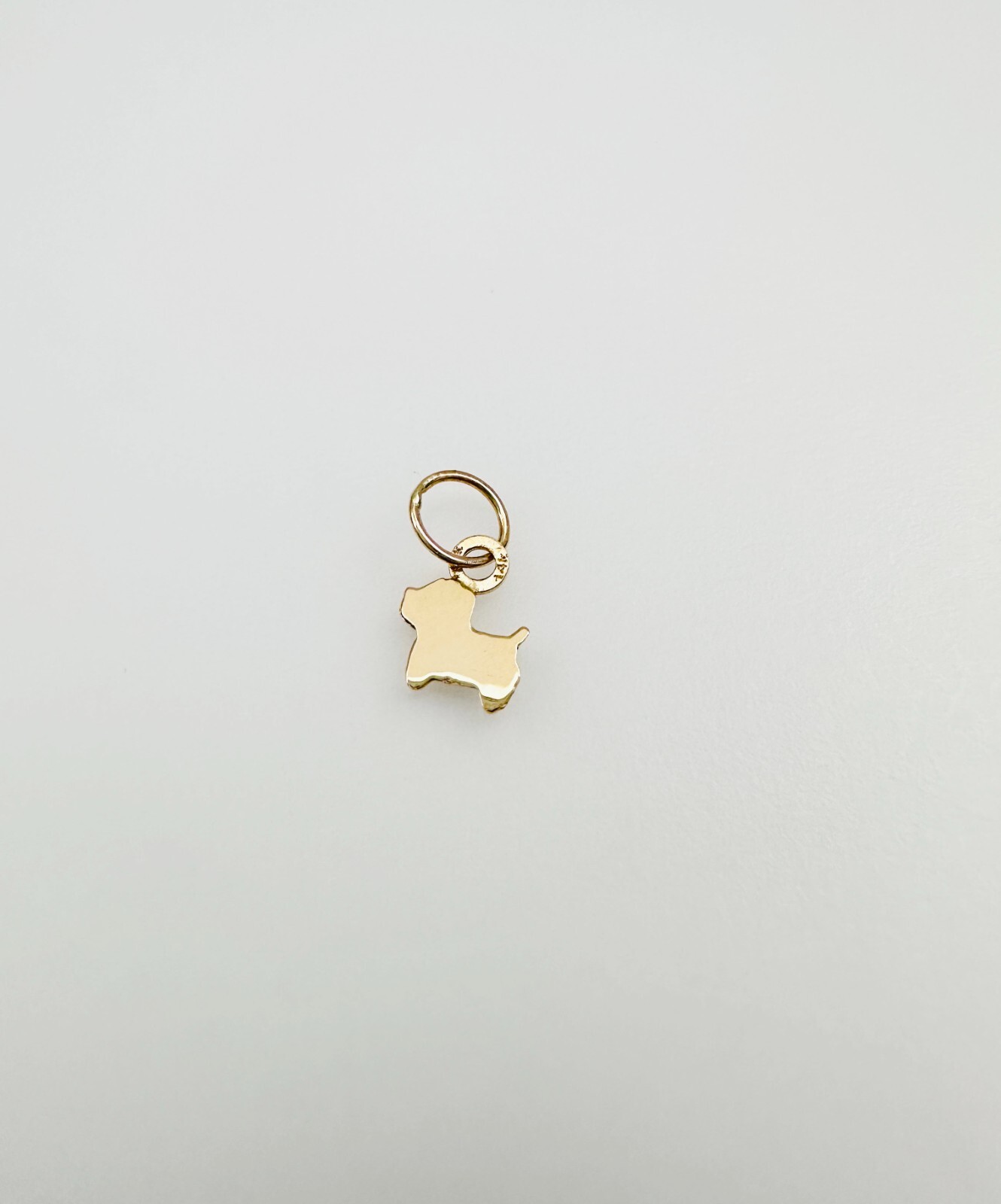 14K Solid Yellow Gold Teeny Tiny – Very Small Dog Puppy Charm Pendant 10x6mm